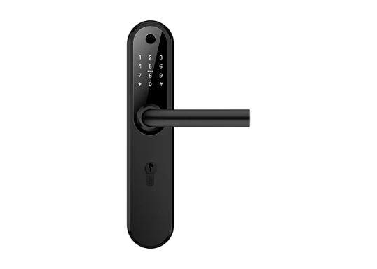 Novicam Home Plus BLACK Novilock v.4240