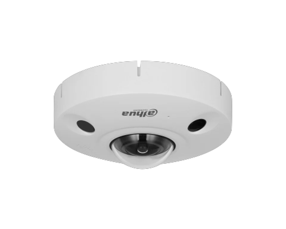 DH-IPC-EBW81242P-AS-S2