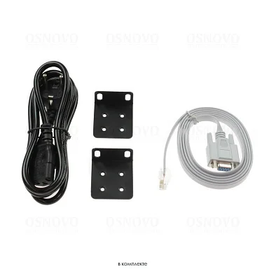 OSNOVO SW-48G4X-L2