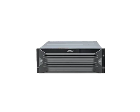 Dahua DHI-EVS8224X-10G