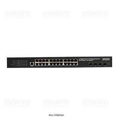 OSNOVO SW-24G4X-2L
