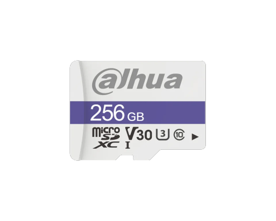 DHI-TF-C100/256GB