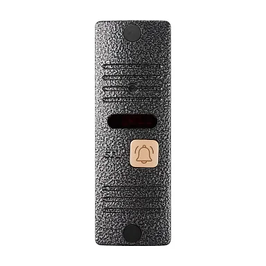 Вызывная панель CTV-D10 Plus (Серебро)