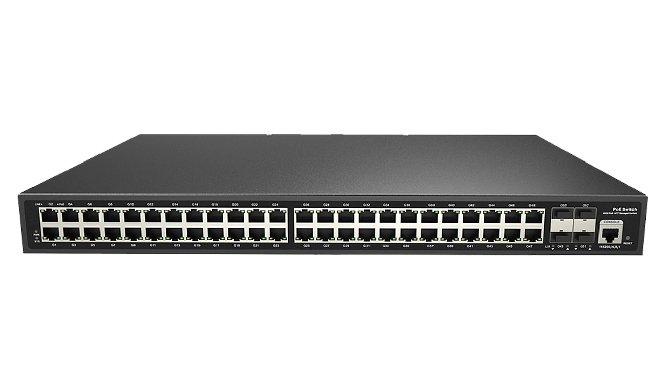 RVi-2NSM48G-4S