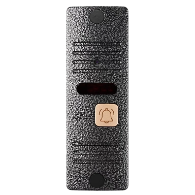 Вызывная панель CTV-D10 Plus (Серебро)